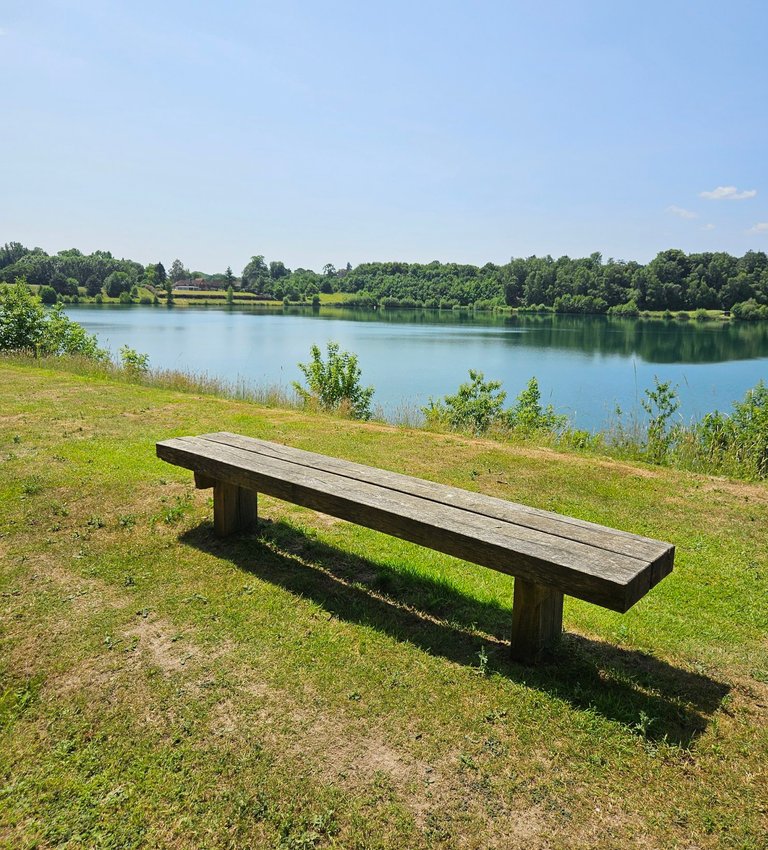 A pleasant lake walk : My Actifit Report Card: June 19 2025