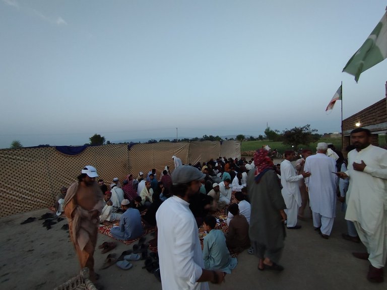 My Actifit Report Card: March 20 2026