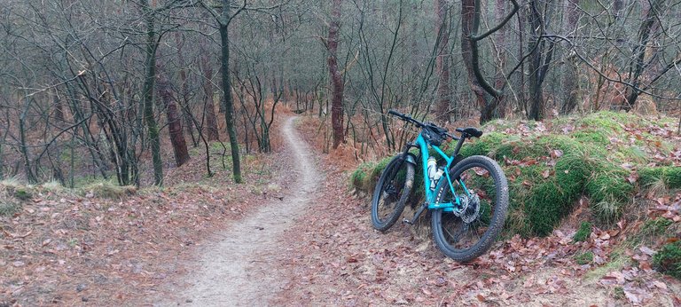 Starting with a bang - My Actifit Report Card: January 1 2026