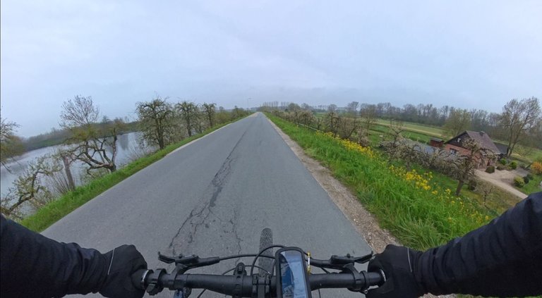 Insta360 x4air - My Actifit Report Card: April 2 2026