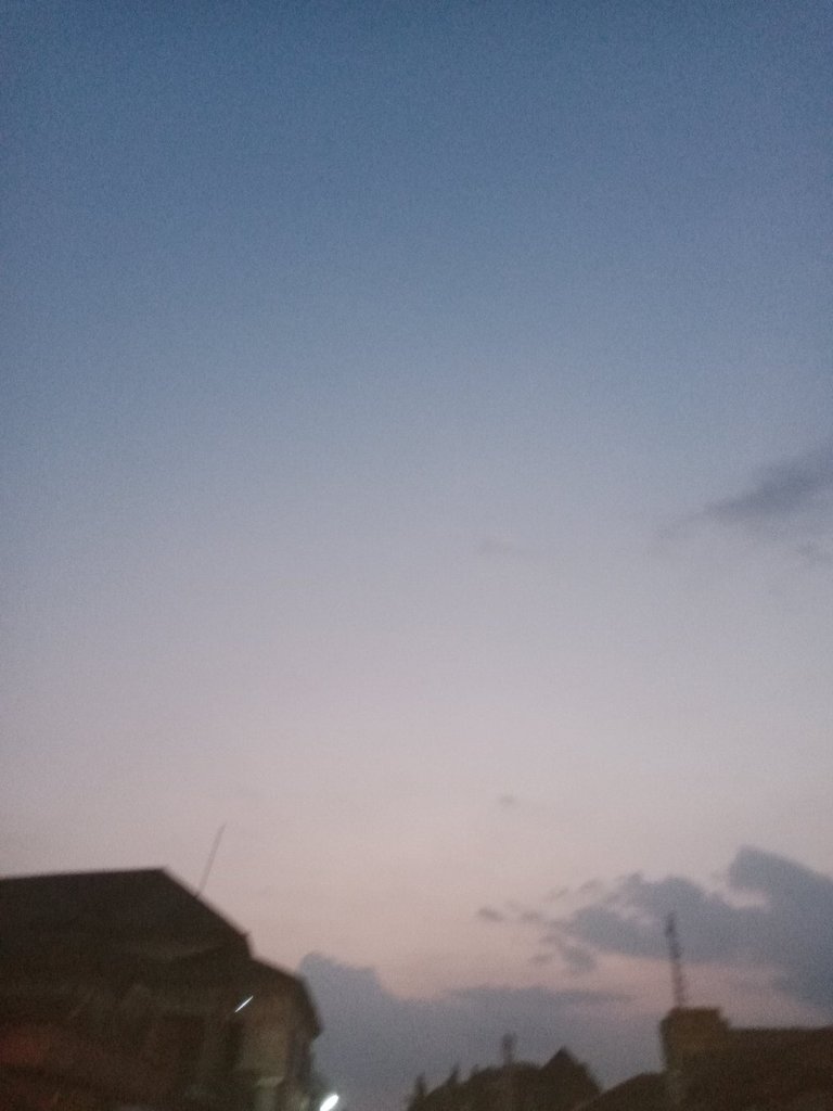 My Actifit Report Card: March 24 2026