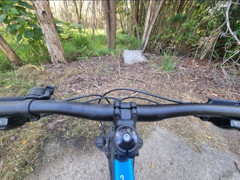 My Actifit Report Card: March 27 2026