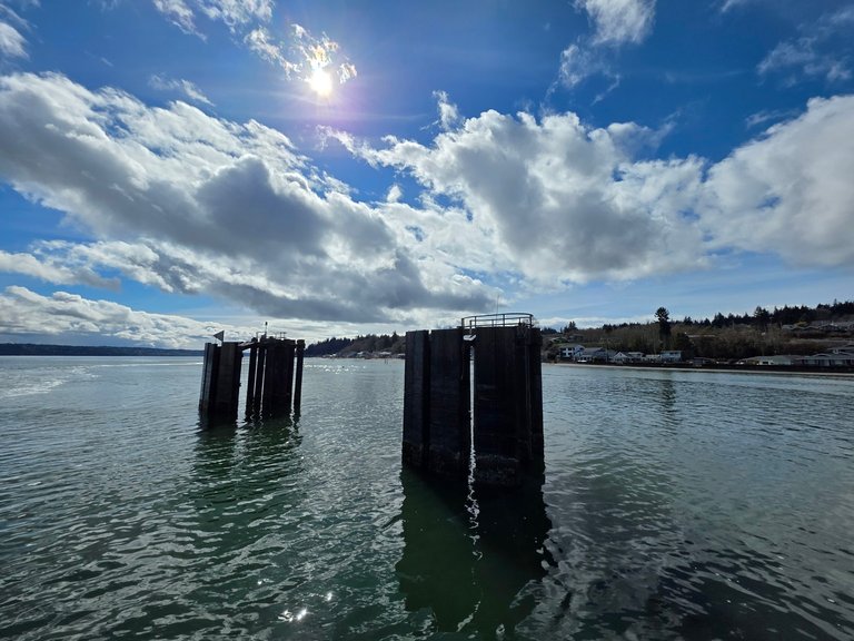 My Actifit Report Card: March 14 2026