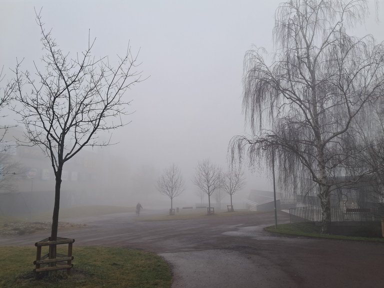 My Actifit Report Card: March 8 2026