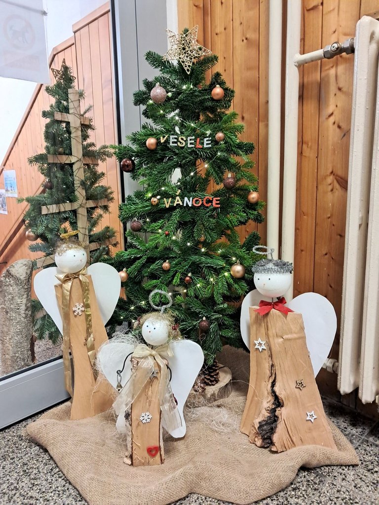 My Actifit Report Card: December 26 2025