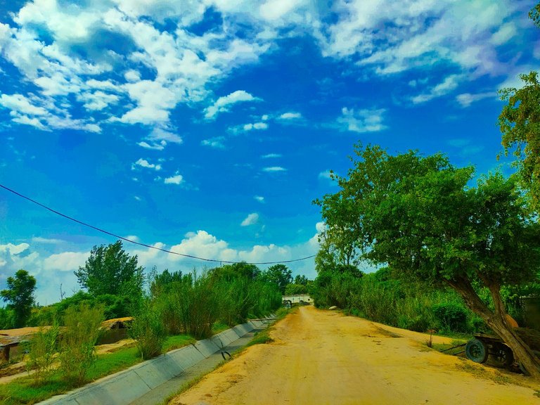 My Actifit Report Card: January 19 2026