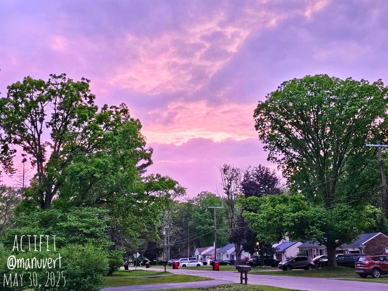 My Actifit Report Card: May 30 2025