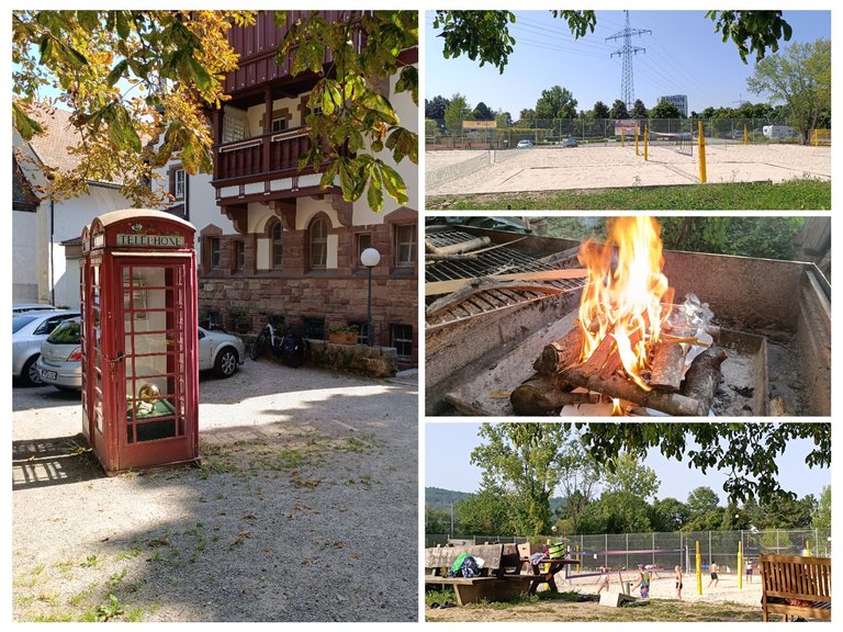 Beachvolleyball, BBQ and a walk in the woods - My Actifit Report Card: August 15 2025