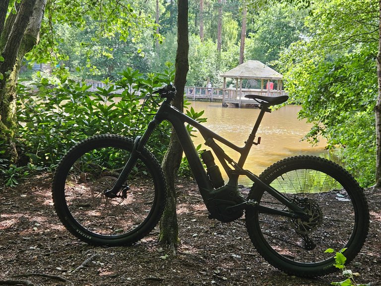 Summer ride : My Actifit Report Card: July 16 2025