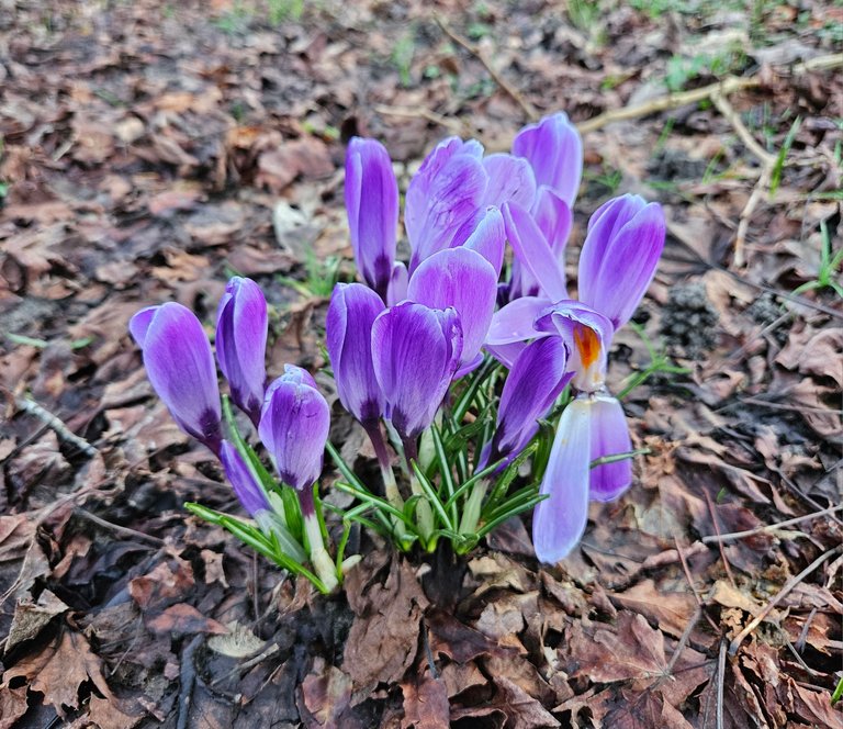 My Actifit Report Card: February 22 2026