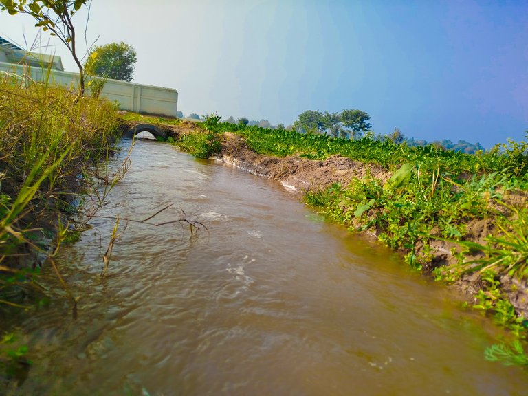 My Actifit Report Card: January 11 2026