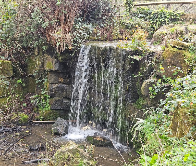 My Actifit Report Card: April 13 2026