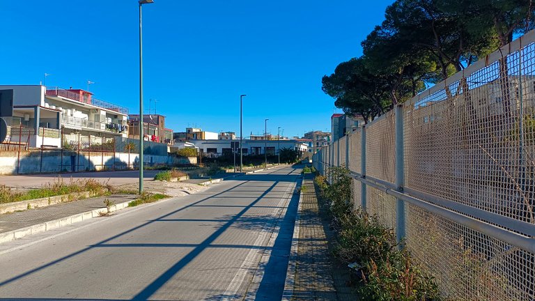 Actifit RC: dec 29th '25 - Walking towards New Year's Eve.