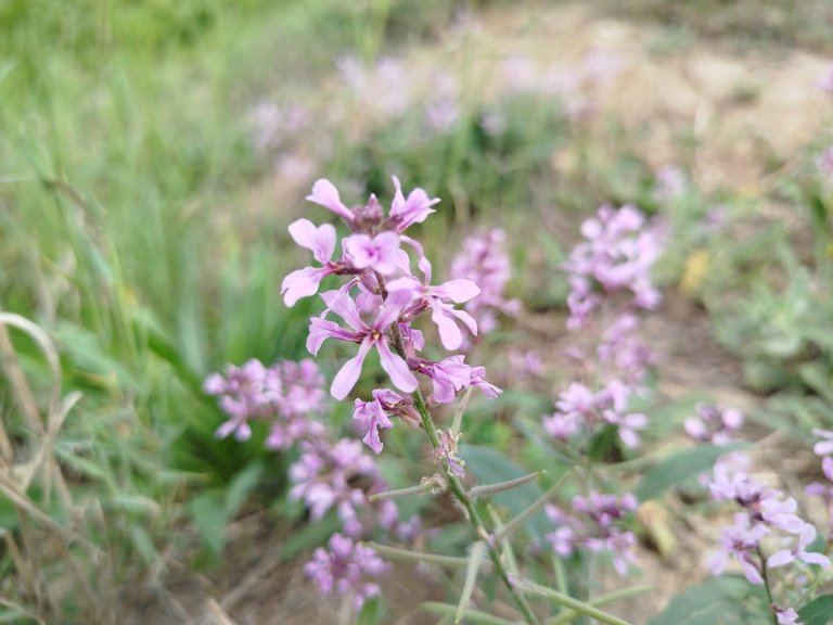 My Actifit Report Card: March 13 2026