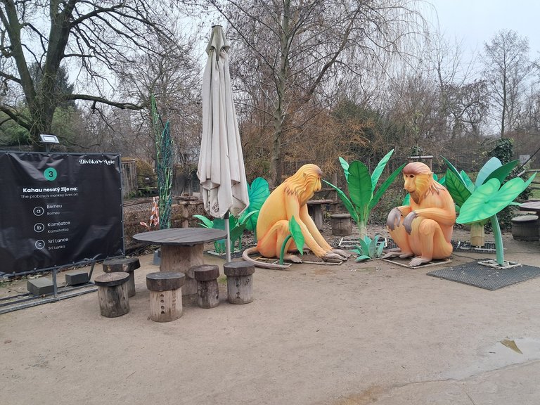 My Actifit Report Card: January 1 2026