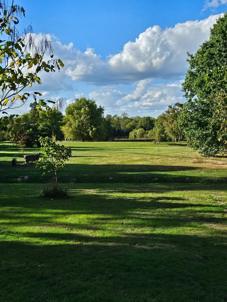 Another gorgeous afternoon!  : My Actifit Report Card: October 1 2026