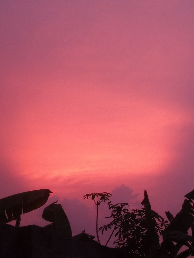 My Actifit Report Card: March 28 2026