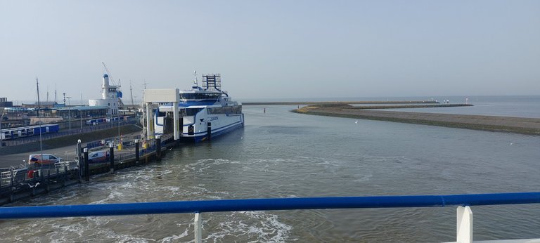 A boat ride and a beach walk - My Actifit Report Card: March 6 2026