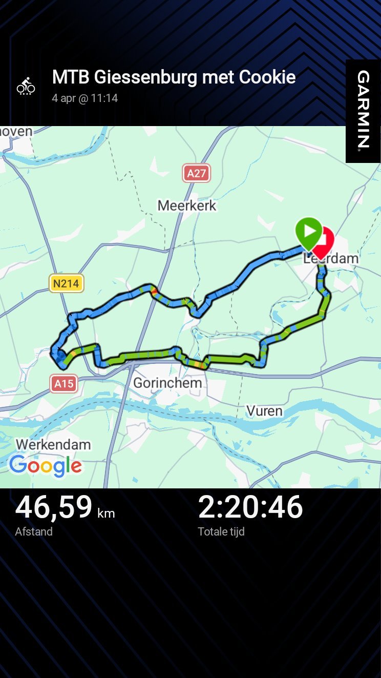 My Actifit Report Card: April 4 2026