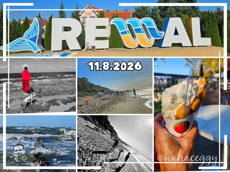 [EN/CZ] My Actifit Report Card: August 11 2026