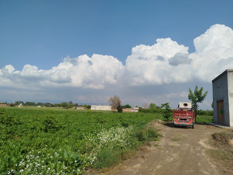 My Actifit Report Card: March 19 2026