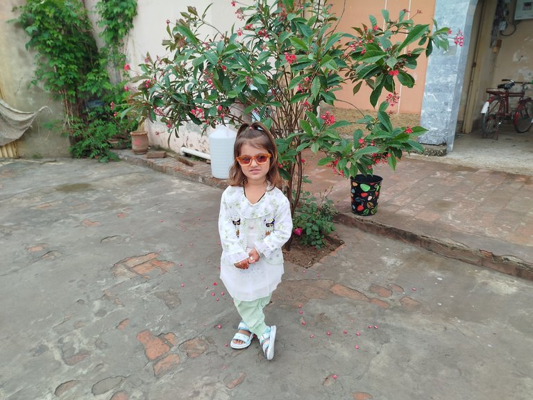 My Actifit Report Card: March 21 2026