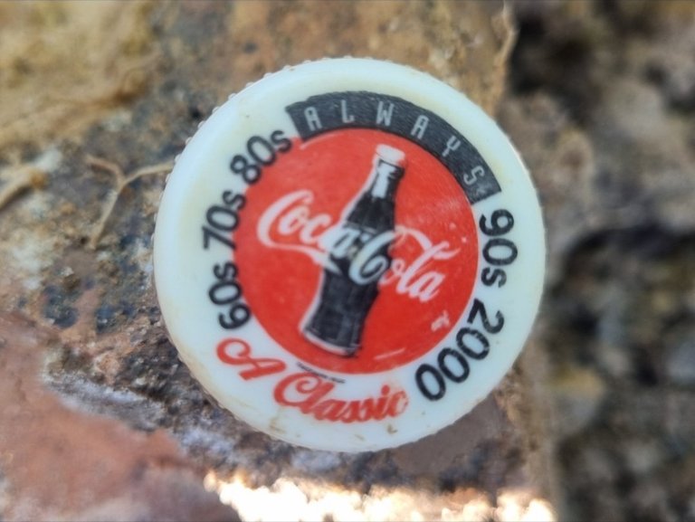 My Actifit Report Card: April 9 2026