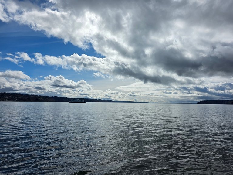 My Actifit Report Card: March 16 2026