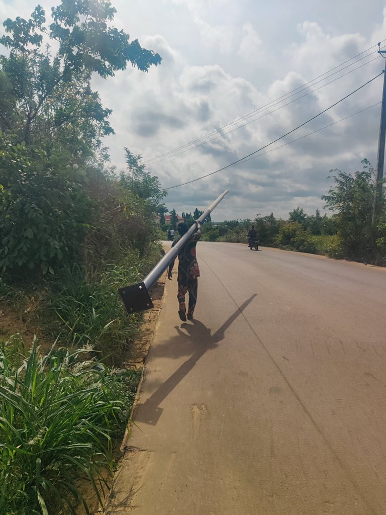 My Actifit Report Card: April 4 2026