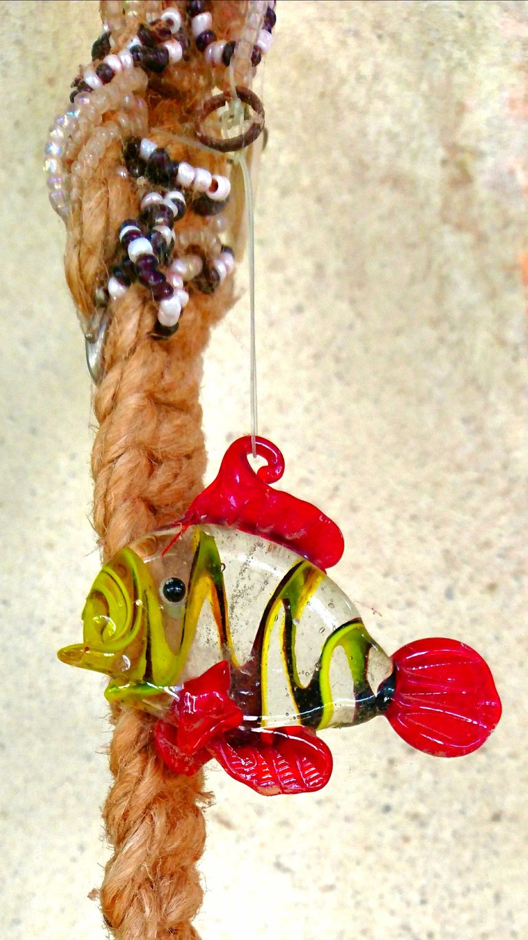 Glass Fish