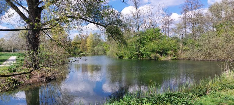 Unplanned walk - My Actifit Report Card: April 14 2026