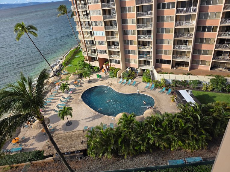 My Actifit Report Card: April 15 2026