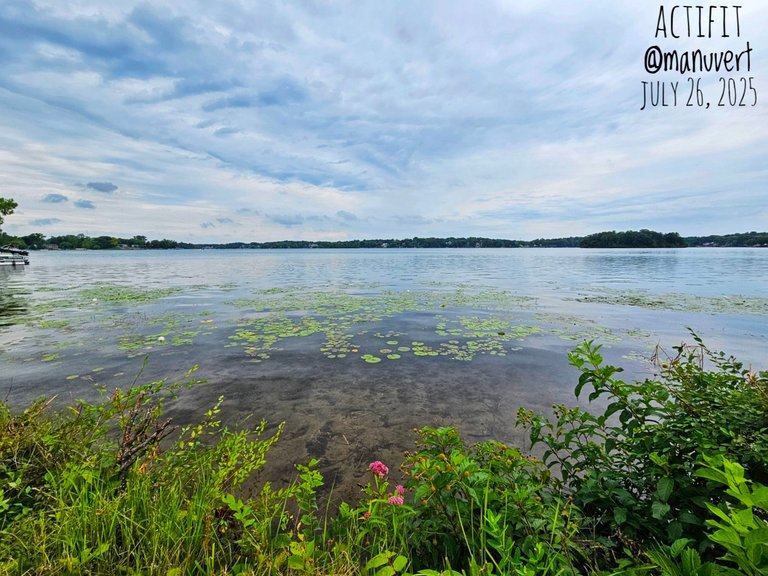 My Actifit Report Card: July 26 2025