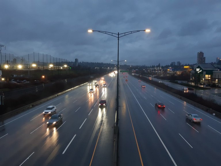 My Actifit Report Card: March 28 2026