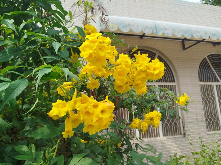 My Actifit Report Card: April 4 2026