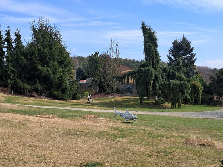 My Actifit Report Card: March 20 2026