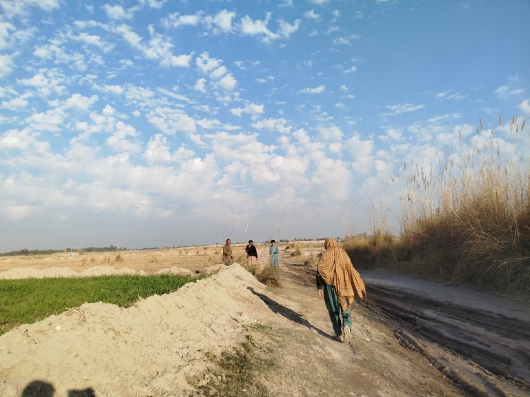 My Actifit Report Card: February 1 2026