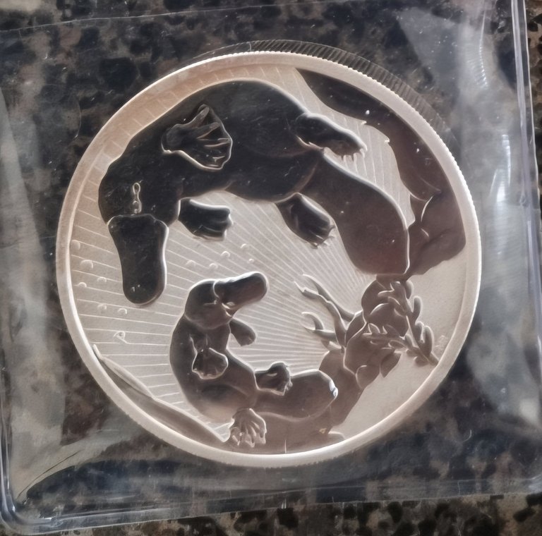 My Actifit Report Card: February 5 2026