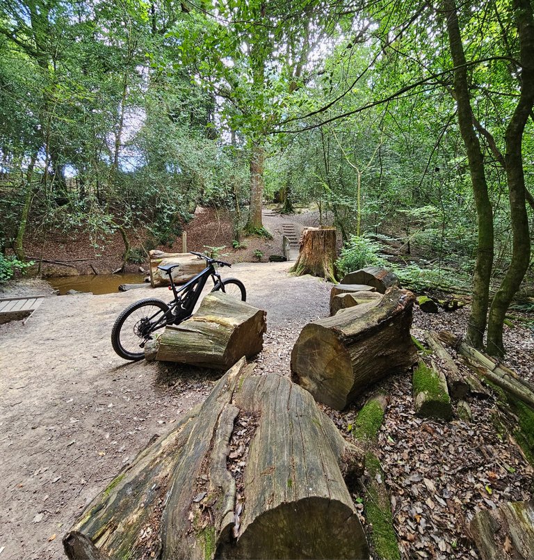 Dusty Ride! : My Actifit Report Card: August 9 2025