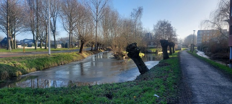 Getting better - My Actifit Report Card: December 28 2025