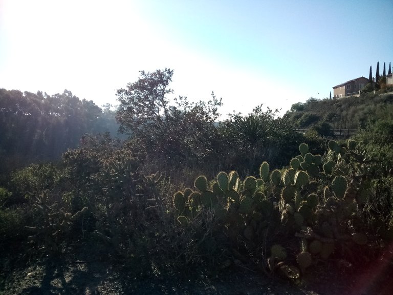 Another beautiful day in the neighborhood. My Actifit Report Card: January 6 2022