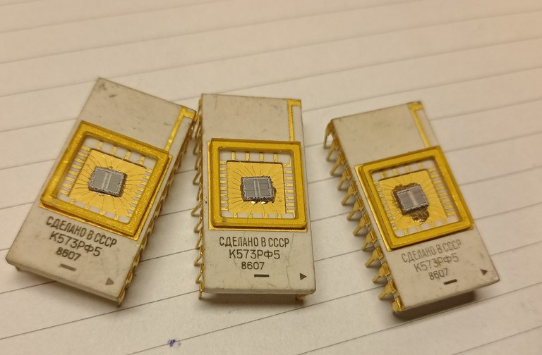 My Actifit Report Card: February 10 2026