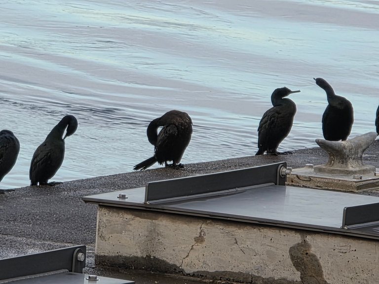 My Actifit Report Card: March 21 2026