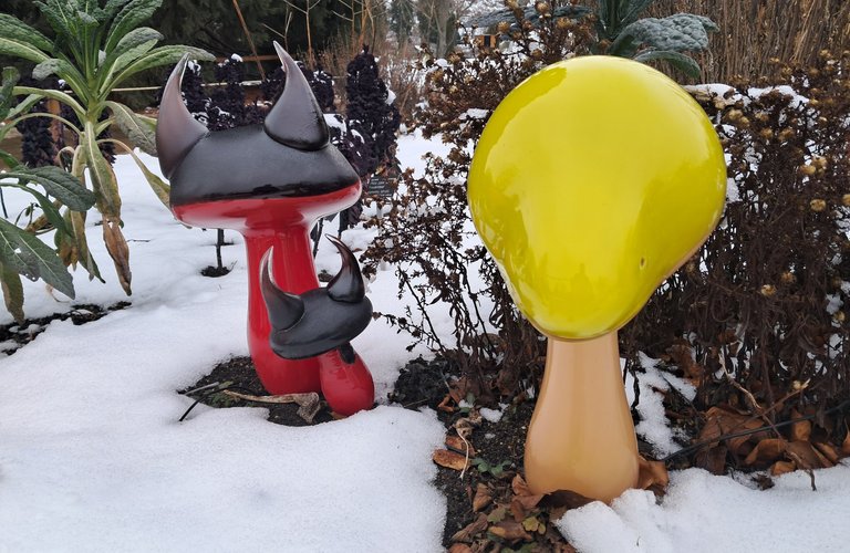 My Actifit Report Card: February 4 2026