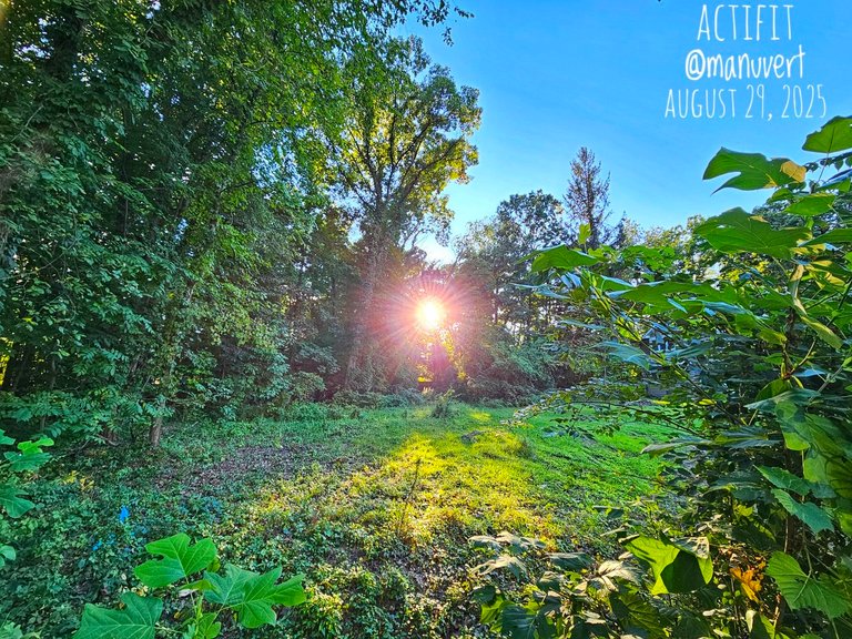 My Actifit Report Card: August 29 2025