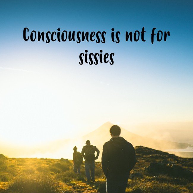 Consciousness is not for sissies - Courtesy InspiroBot.me