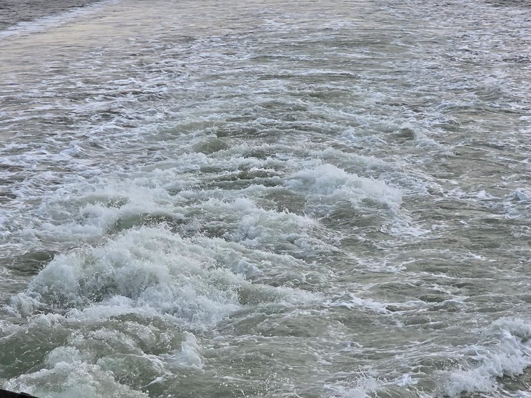 My Actifit Report Card: March 5 2026