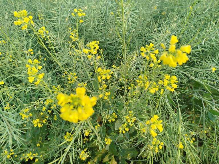 My Actifit Report Card: February 23 2026