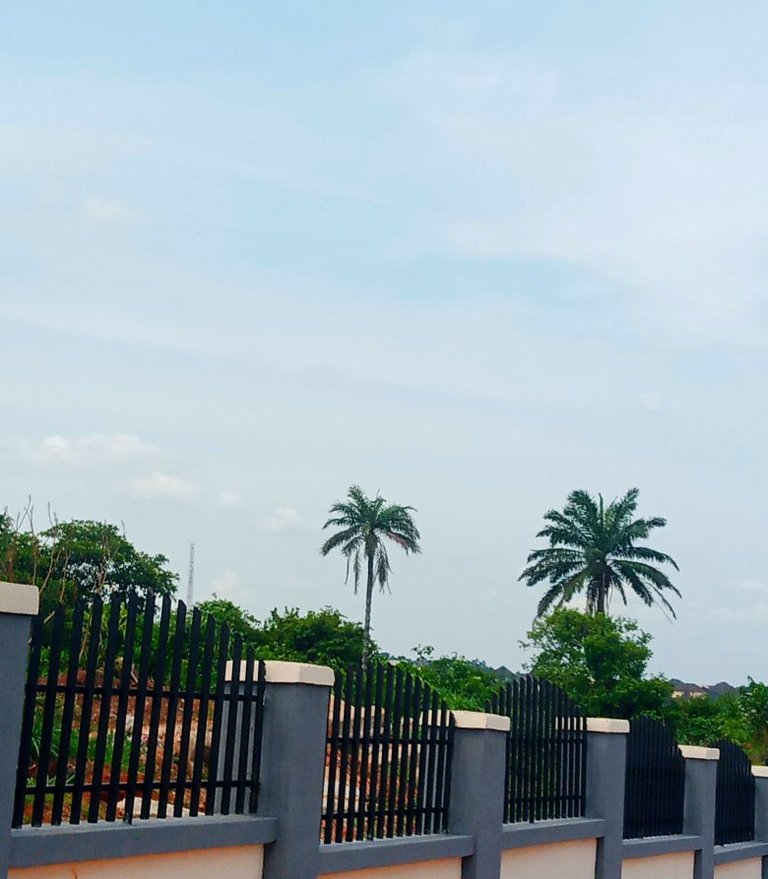 My Actifit Report Card: April 14 2026