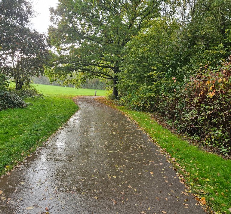 The autumn storms have begun!  : My Actifit Report Card: October 22 2026